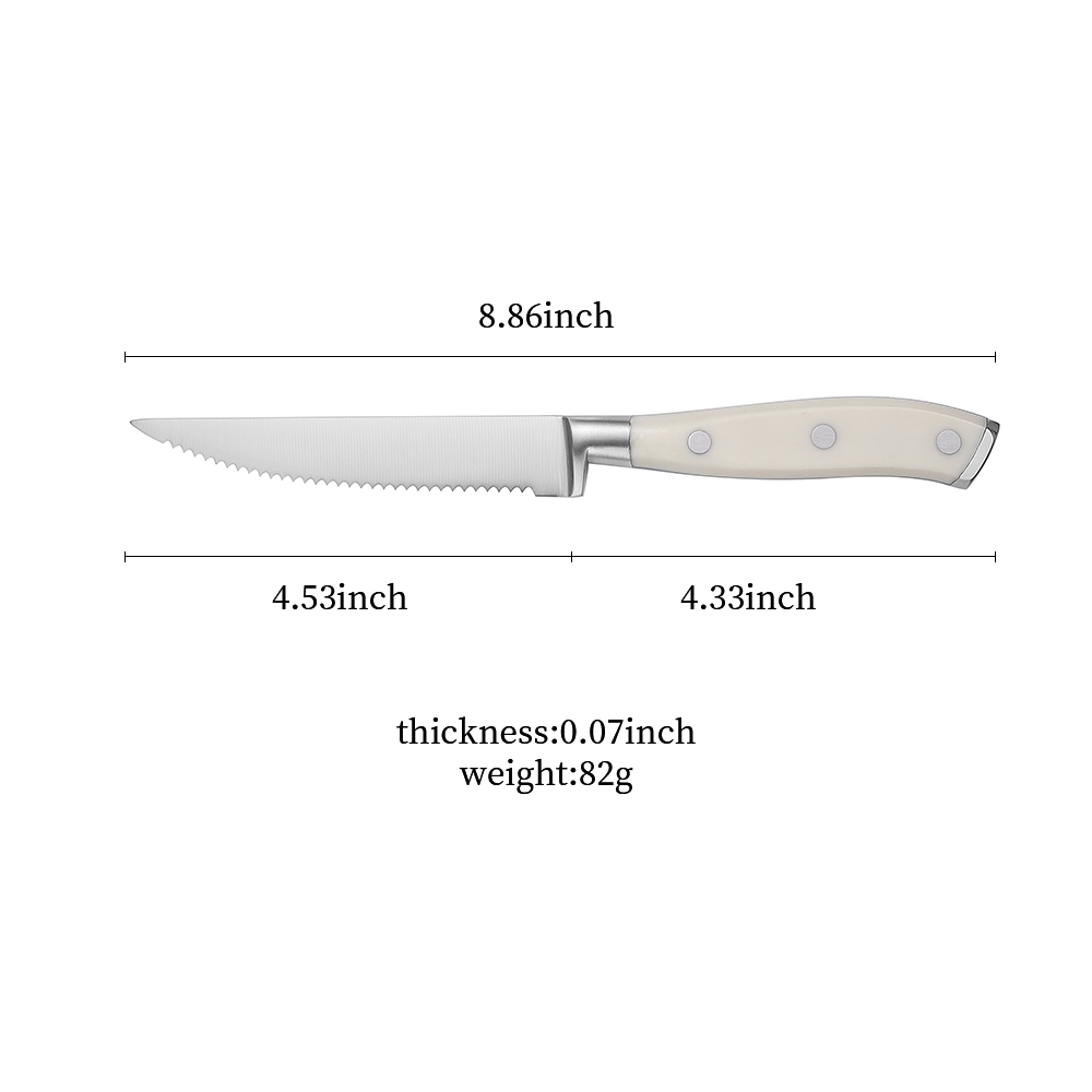 Plastic Handle Steak Knife with Serrated Blade for Easy Grip