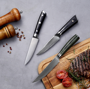 Biffknivar av professionell kvalitet: knivskarpa, fullfärgade blad i rostfritt stål för perfekta snitt