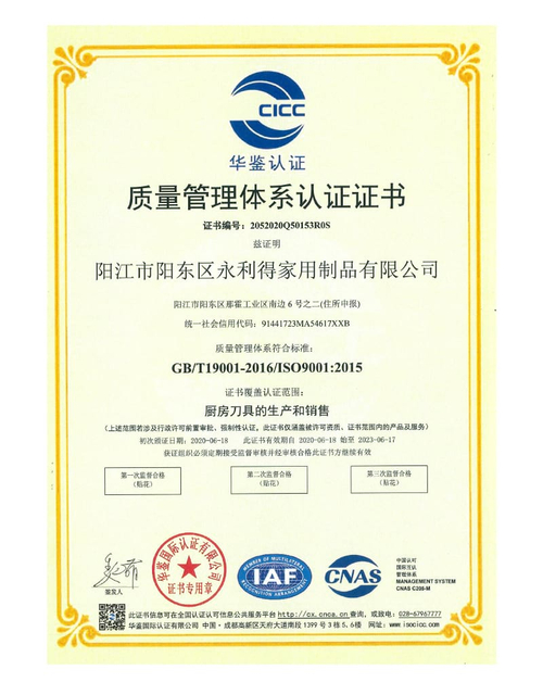 Certyfikat ISO Yonglide