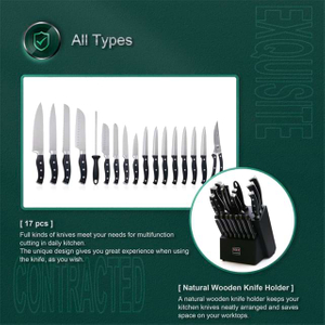 17-dijelni set kuhinjskih noževa s trostrukim zakovicama i crnim drvenim držačem